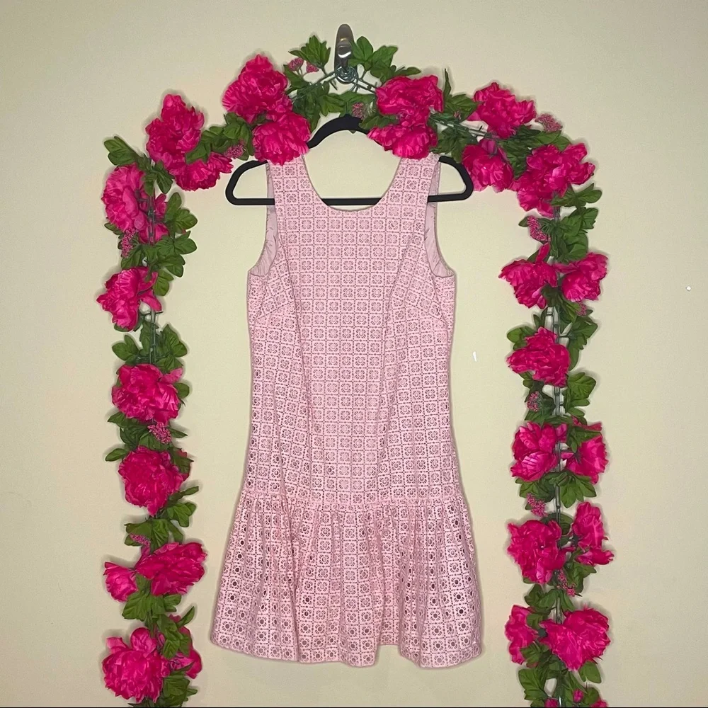J.Crew Anna Dress in Organza Pink Eyelet Size 4 - Picture 1 of 11